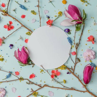 renkli bahar çiçekleri ile kopya alanı