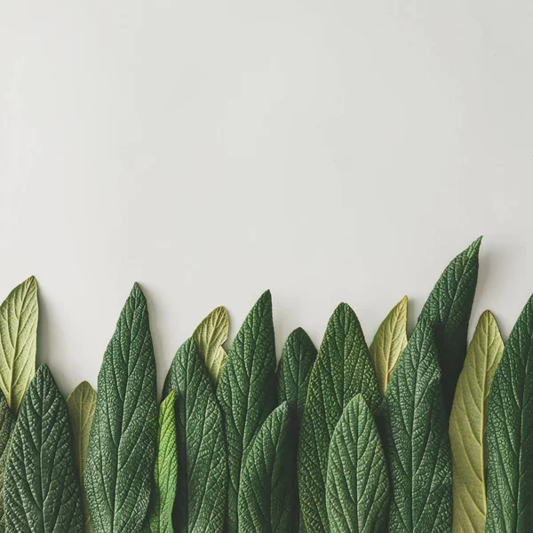Waldgrenze aus grünen Blättern — Stockfoto