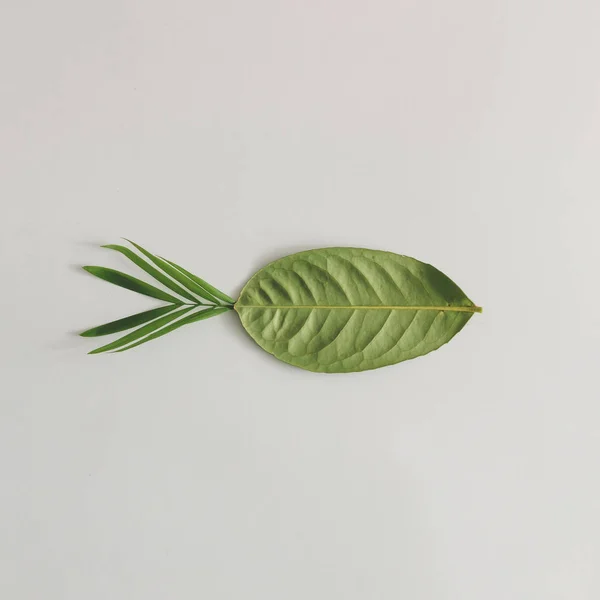 Fish made of green leaves — Stock Photo, Image