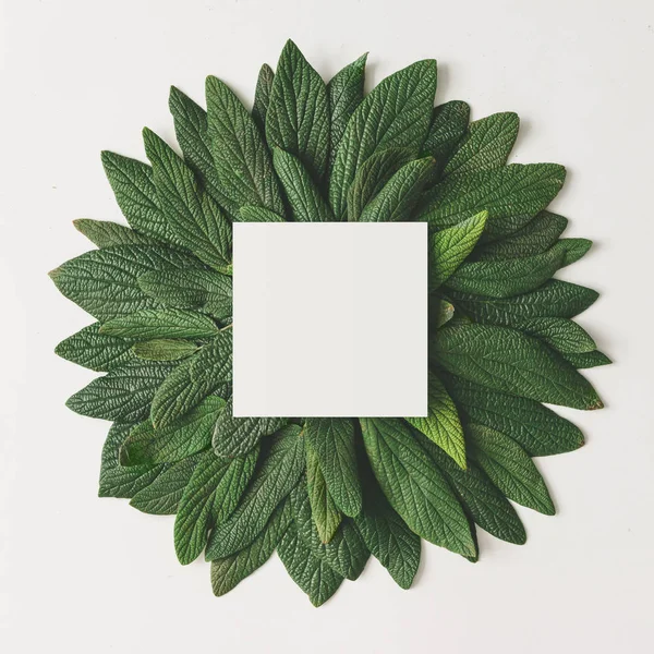 Kreative Anordnung der grünen Blätter. — Stockfoto