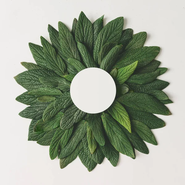 Creative arrangement of green leaves. — Stock Photo, Image
