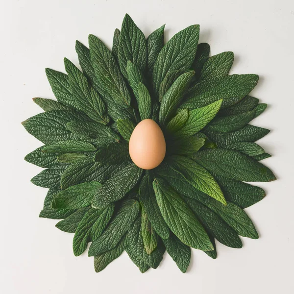 Пасхальное яйцо в гнезде из листьев — стоковое фото