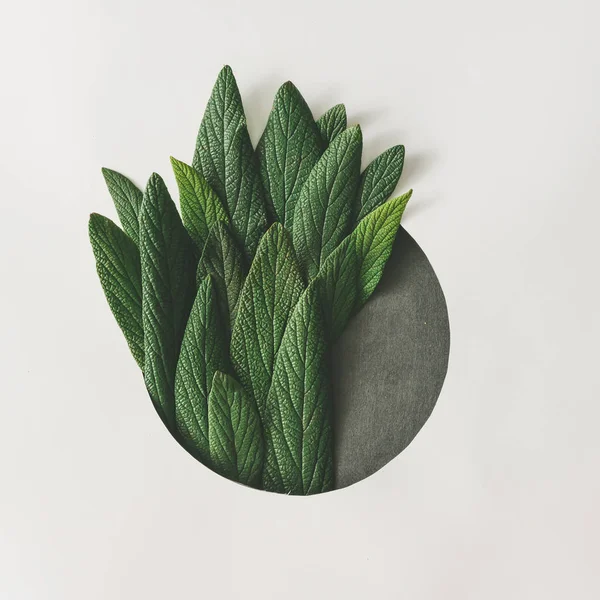 Creative arrangement of green leaves — Stock Photo, Image