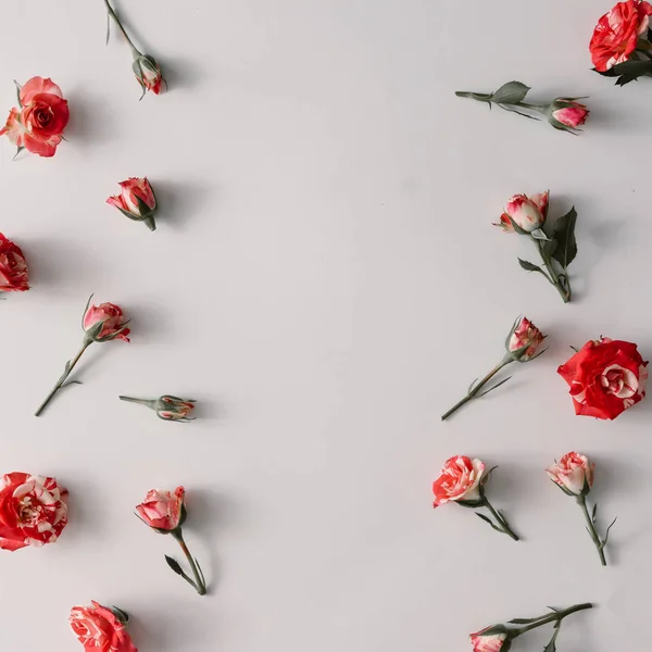 Creative arrangement of colorful flowers — Stock Photo, Image