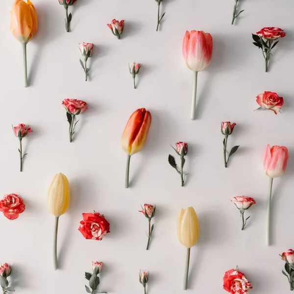 Creatieve lay-out gemaakt van kleurrijke bloemen — Stockfoto