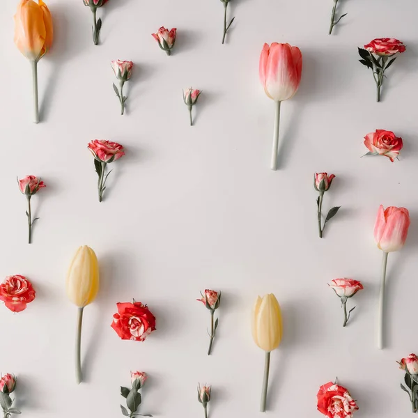 創造的なレイアウトは、色とりどりの花 — ストック写真