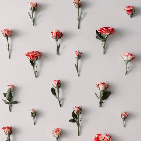 Padrão de flores coloridas — Fotografia de Stock