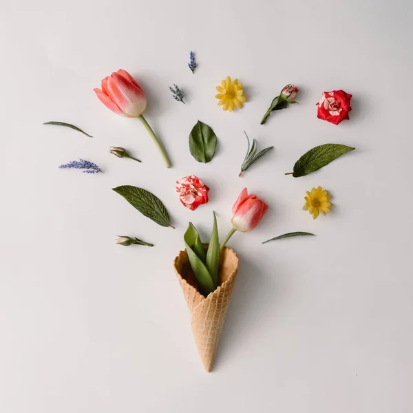 Conul de înghețată cu flori colorate — Fotografie, imagine de stoc