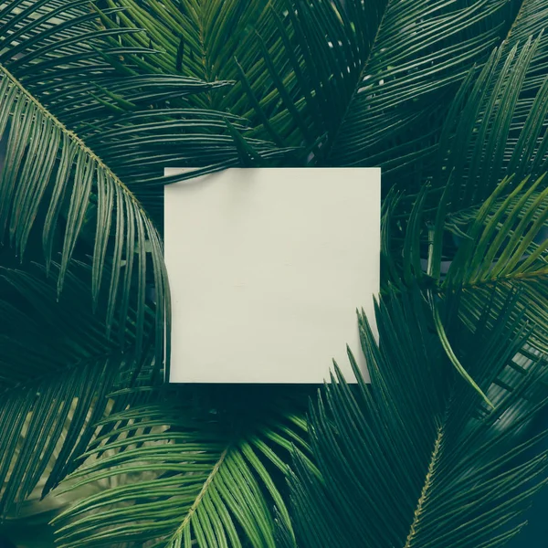 Creative layout made of tropical leaves — Stock Photo, Image