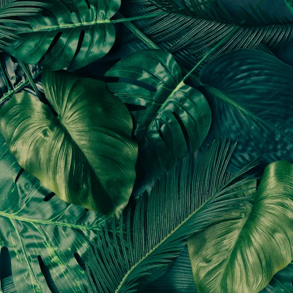 Creative layout made of tropical leaves — Stock Photo, Image