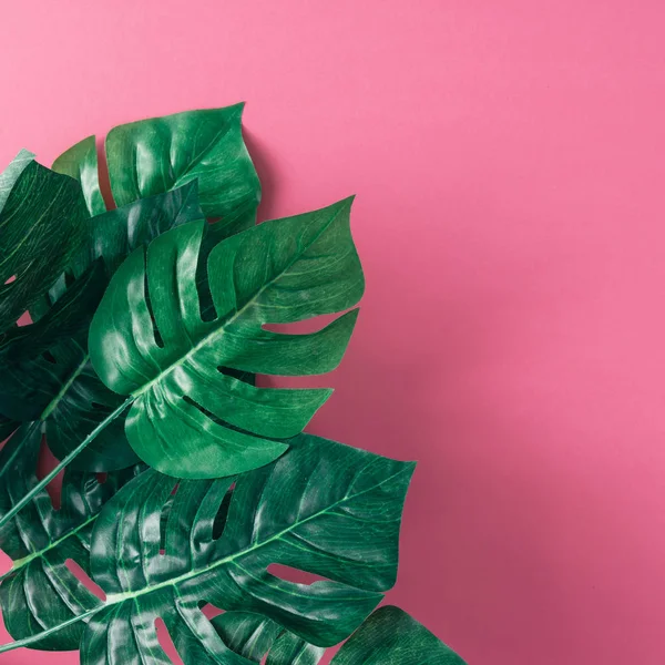 Bouquet of tropical palm leaves — Stock Photo, Image