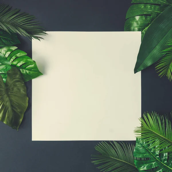 Mise en page créative faite de feuilles tropicales — Photo