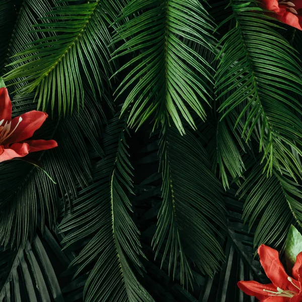 Creative layout made of tropical leaves — Stock Photo, Image