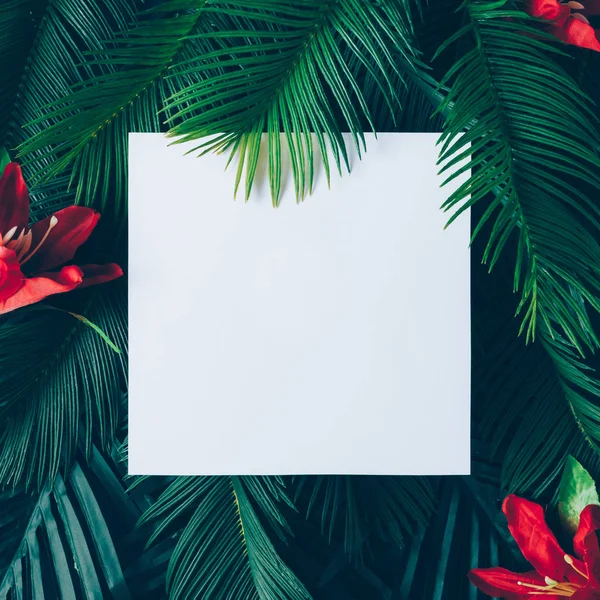 Kreativ layout gjord av tropiska lämnar — Stockfoto