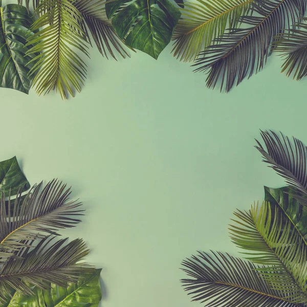 Tropical palm leaves — Stock Photo, Image