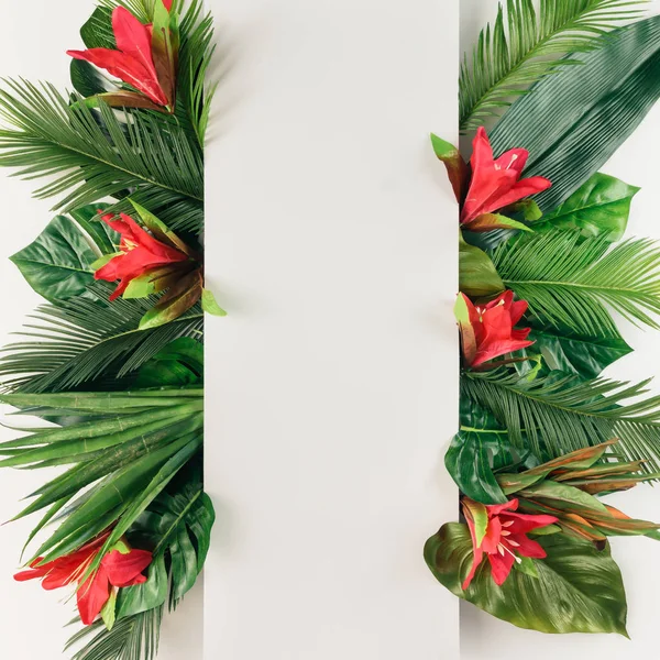 Tropické palmové listy a exotické květiny — Stock fotografie