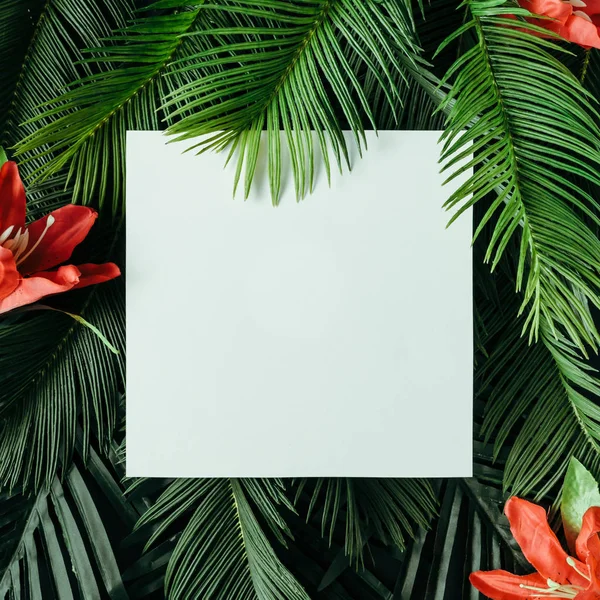 Layout criativo feito de folhas tropicais — Fotografia de Stock