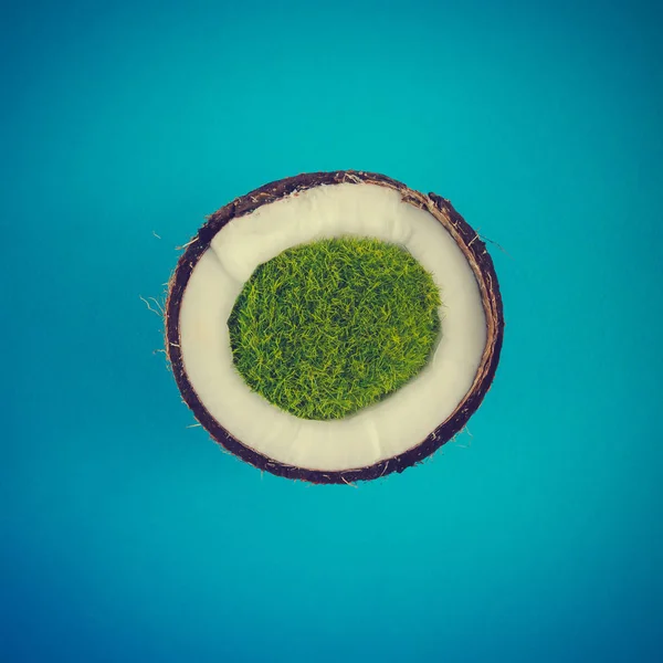 Metade de coco maduro com grama verde — Fotografia de Stock