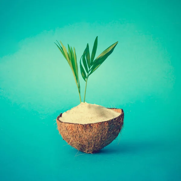 Half of ripe coconut with palm leaves — Stock Photo, Image