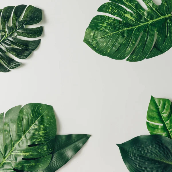 tropical green palm leaves