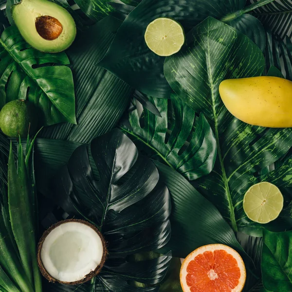 Компоновка из тропических фруктов на листьях — стоковое фото