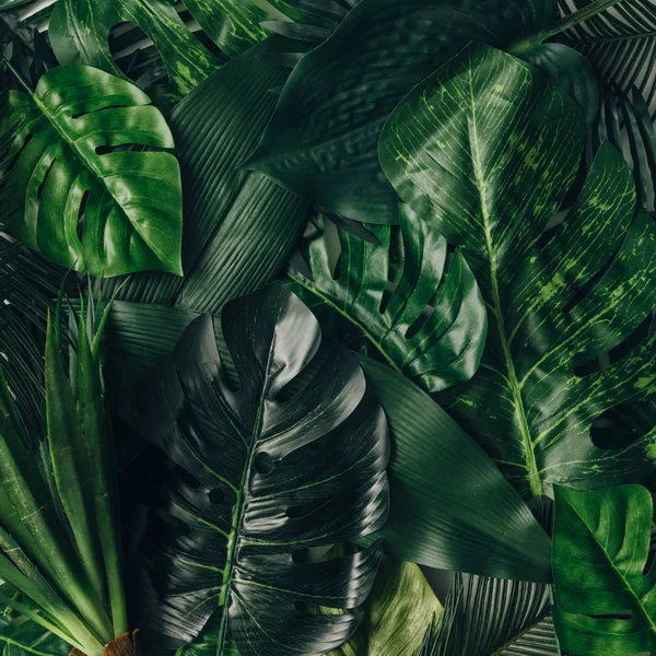 Creative layout made of tropical leaves — Stock Photo, Image