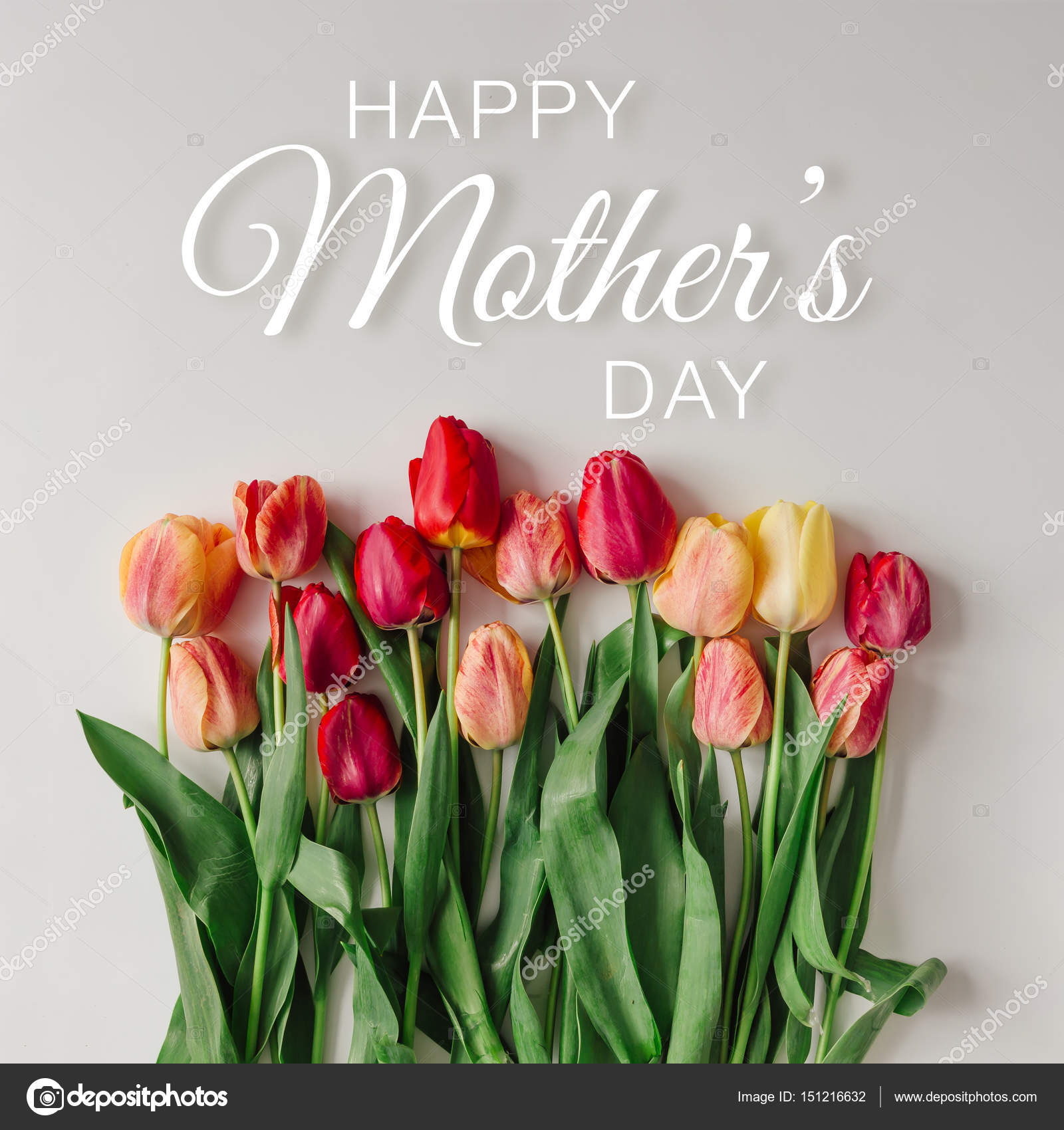 Mothers Day Text Images Tulips With Happy Mothers Day Text Stock Photo By ©Zamurovic 151216632