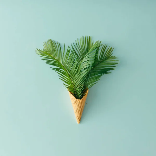 Palm bladeren in ijsje — Stockfoto
