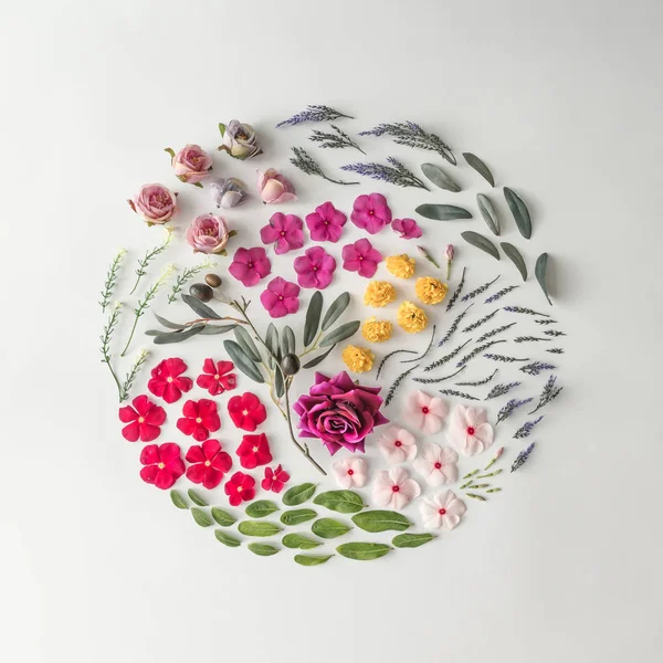 Kreatív minta elrendezése készült virágok — Stock Fotó