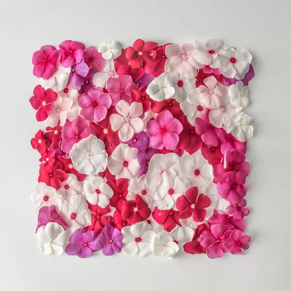 Diseño de patrón creativo hecho de flores — Foto de Stock