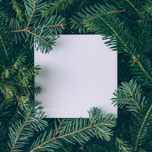 Ramas de árbol con nota de tarjeta de papel —  Fotos de Stock