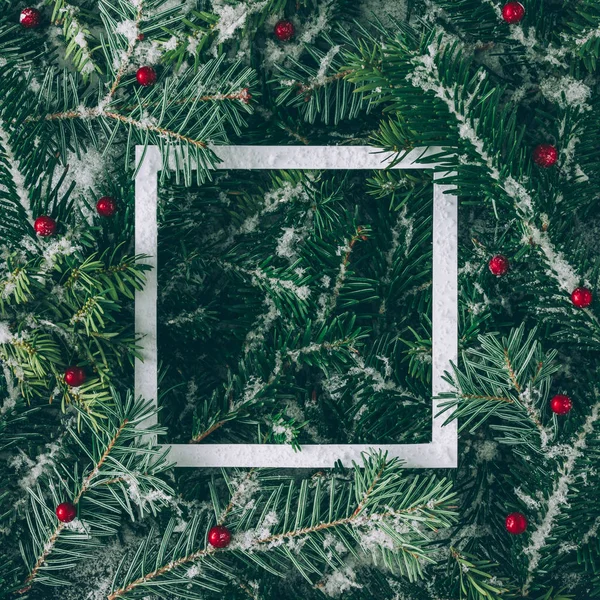 Tree branches with paper frame — Stock Photo, Image