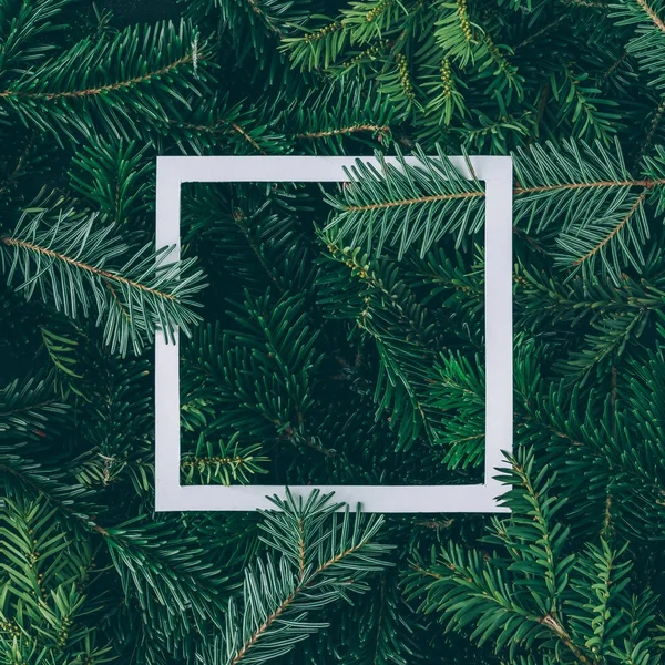 ağaç dalları kağıt çerçeveli