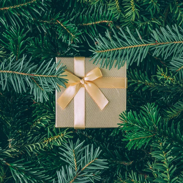 圣诞树枝与礼品盒 — 图库照片