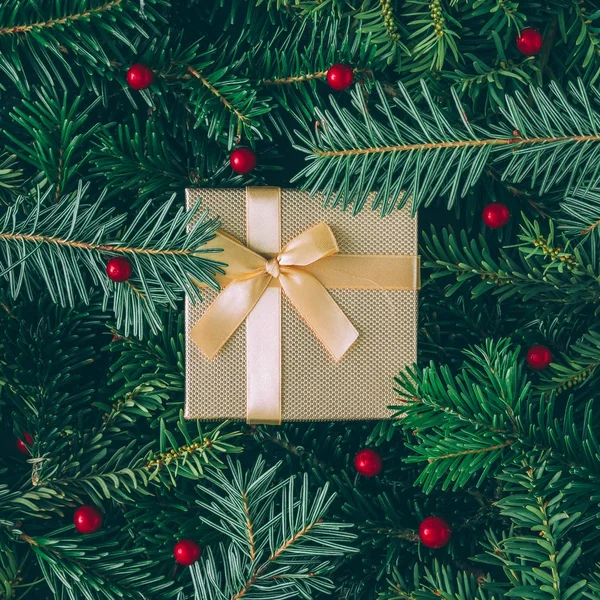 Boże Narodzenie drzewo gałęzie z pudełko — Zdjęcie stockowe