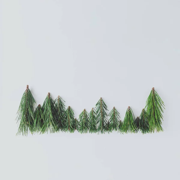 Herdem Yeşil Çam Ormanı Ağaç Sınırından Yapılan Ağaç Dalları Kış — Stok fotoğraf
