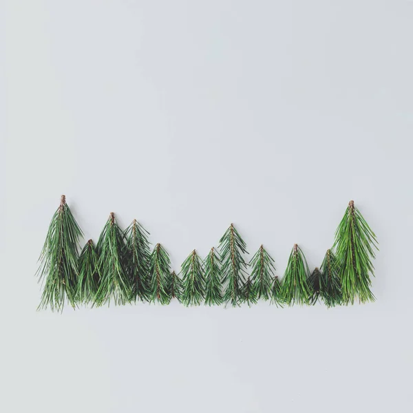 Evergreen Pine Forest Treeline Made Tree Branches Minimal Winter Nature — Stock Photo, Image