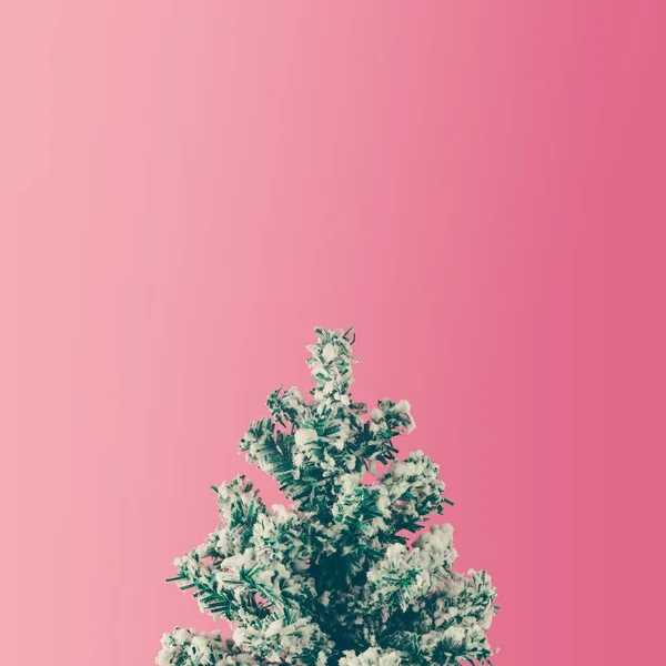 Árbol Navidad Mínimo Con Nieve Sobre Fondo Rosa Concepto Temporada — Foto de Stock