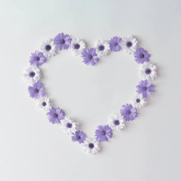 Forma Corazón Margaritas Violetas Blancas Concepto Día San Valentín — Foto de Stock