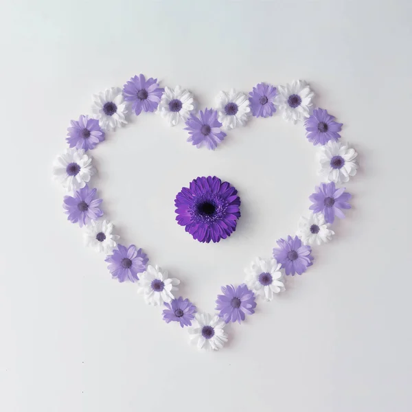 Forma de corazón hecha de margaritas violetas y blancas. Acostado. Valentín. — Foto de Stock