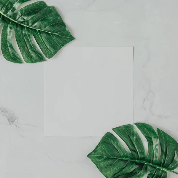 Creative natural layout made of tropical leaves on marble backgr — Stock Photo, Image