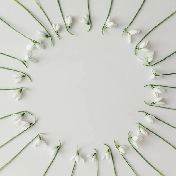 Kreativních Rozložení Květy Sněženek Formě Kruhu Světlé Pozadí Matky Den — Stock fotografie