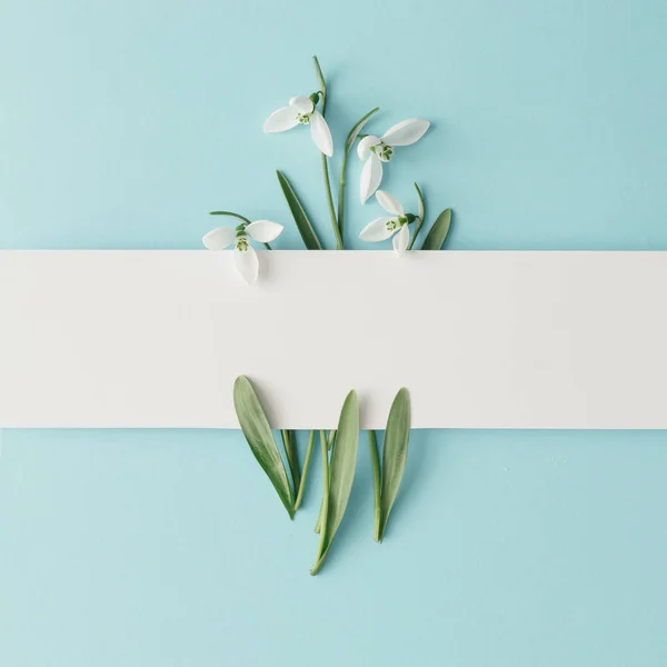 Creatieve Lay Out Gemaakt Met Snowdrop Bloemen Met Een Witboek — Stockfoto