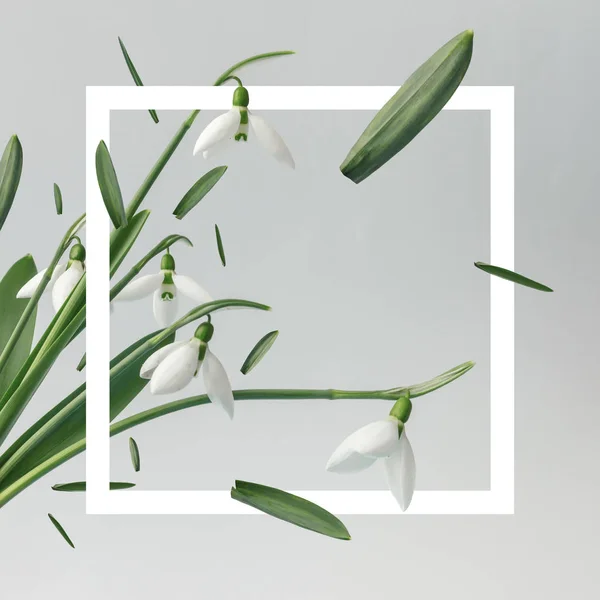 スノー ドロップの花春最小限概念 灰色の背景上のフレームで作られた創造的なレイアウト — ストック写真