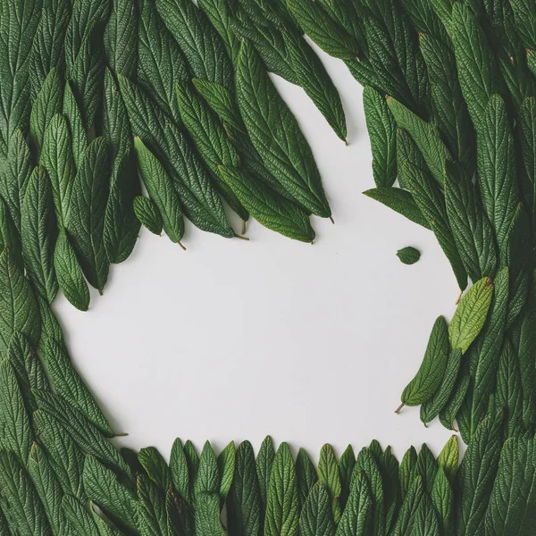 Påskharen Gjord Gröna Blad Naturen Våren Koncept — Stockfoto