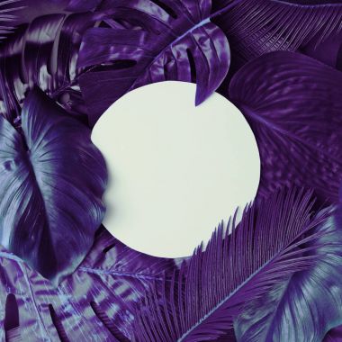 tropic mor kartıyla beyaz kağıt yaratıcı yerleşimini bırakır, doğaüstü kavramı