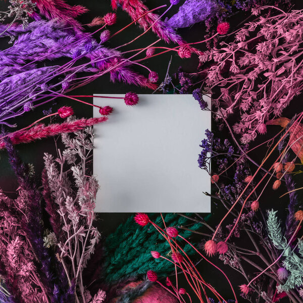 креативная компоновка белой бумажной открытки с цветочными травами
 