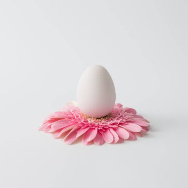 Pembe papatya çiçek, Bahar kavramı üzerinde Paskalya yortusu yumurta 