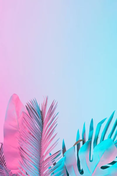 Folhas Tropicais Palma Cores Holográficas Gradiente Ousado Vibrante Arte Conceitual — Fotografia de Stock