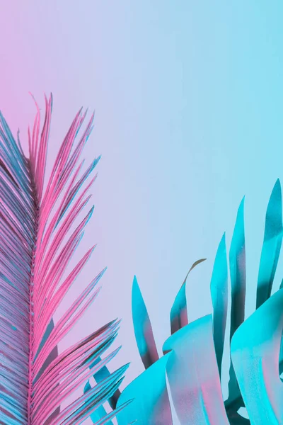 Folhas Tropicais Palma Cores Holográficas Gradiente Ousado Vibrante Arte Conceitual — Fotografia de Stock